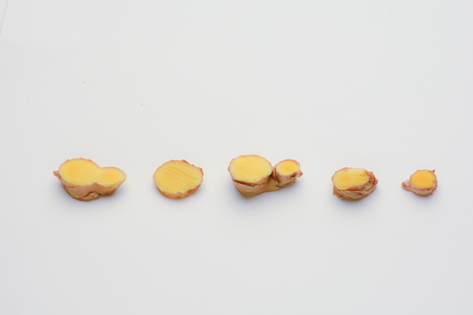 Ingwer – das scharfe Rhizom, das mehr kann als wärmen